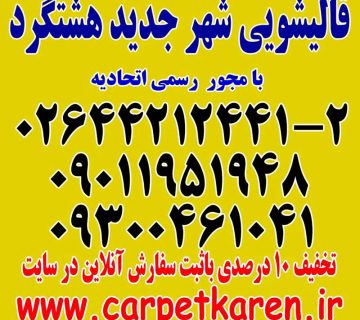 قالیشویی شهر جدید هشتگرد